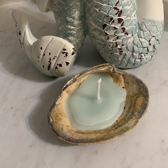 Homemade Soy Wax Candle in a Seashell Ocean Breeze Scented - Picture 10 of 12